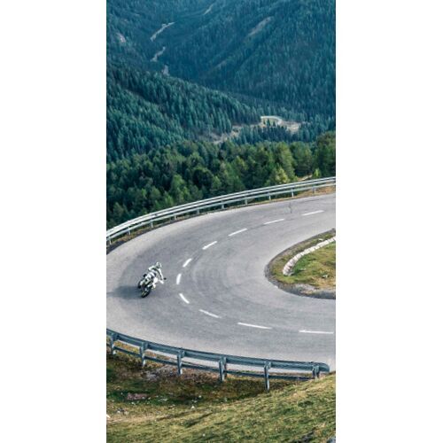 Picture 1000x1930, motif 07_2019