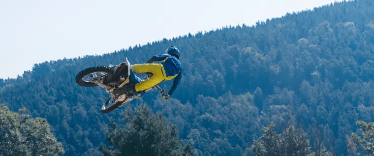 Husqvarna TC 250 Heritage: Motor