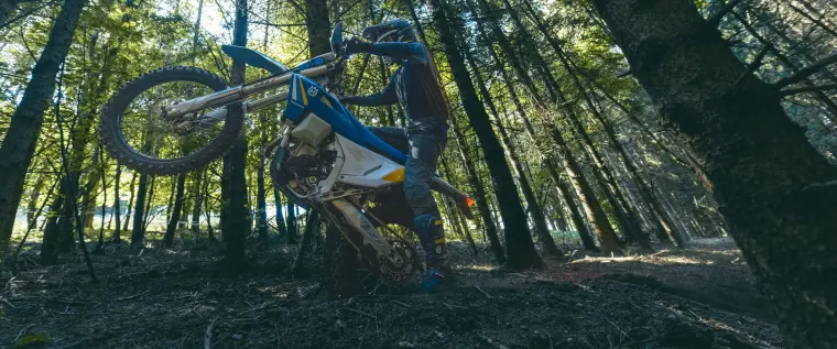 Husqvarna TE 300 Heritage: Motor
