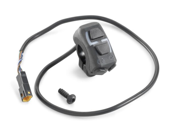 pho_nmon_a46039974044_combination_switch__sall__awsg__v1